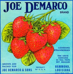 Vintage Strawberries Fruit Crate Label