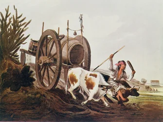 Water cart, reproduced from Vidals Picturesque Illustrations of Buenos Aires and Montevideo, pub. in 1820, from The Romance of the River Plate, Vol. I, by W. H. Koebel, 1914