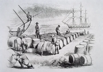Whalers gauging oil in barrels, from The American Whale Fishery, c.1850