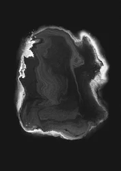 Ethereal Fluid Motion
