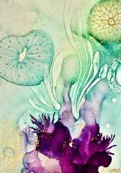 Vibrant Underwater Reef