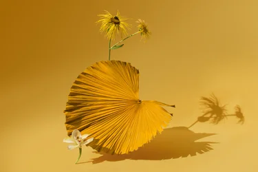 Ikebana 05