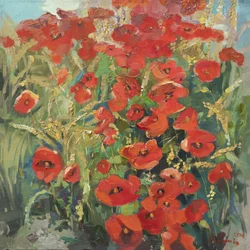 Summer Poppy Field