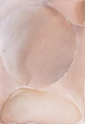 Soft Nude Curves