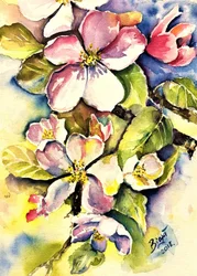 Spring Apple Blossoms