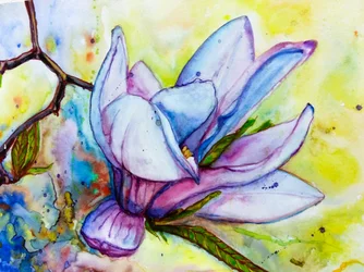 Vibrant Magnolia Bloom