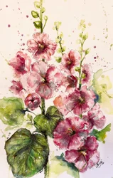 Vibrant Pink Hollyhocks