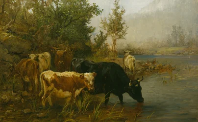 Cows by the Water