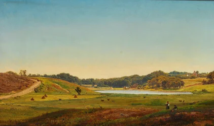 Danish Harvest Landscape