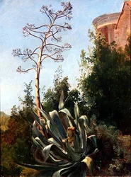 Landscape; Southern Italy