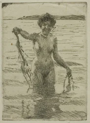 Seaweed