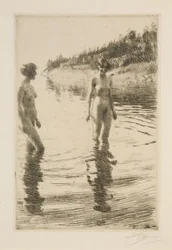 Shallow Water