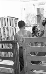 Bitter Grapes - A Truck of Boxes to Fill
