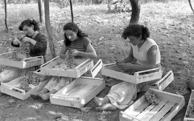 Bitter Grapes - Welders at Work