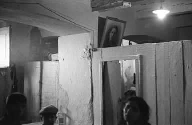 Basement House, Crotone