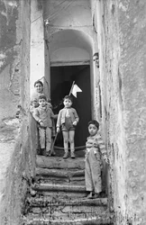 Crotone - The Pennant