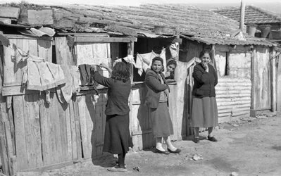 Crotone - Women in Shutts