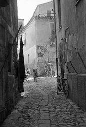 Crotone Alley