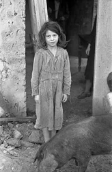 Crotone Countryside - Girl and Pig