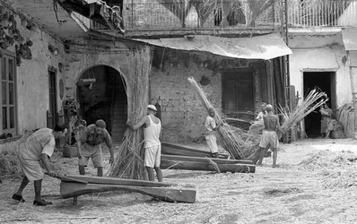 Hemp Processing, The Paranza of the Maciullatori