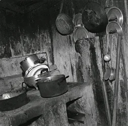 Kitchen Laborer, Crotone