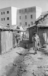 Shacks and Buildings