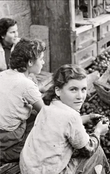 The Smile of a Young Girl Hulling Walnuts, Quaglino, Naples, Italy, c.1955