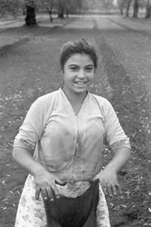 Young Olive Picker