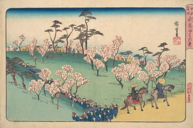 Asukayama Hanami