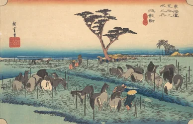 Chiriu, Station No. 40