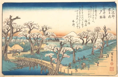 Evening Glow at Koganei Border