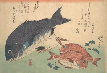 Kurodai and Kodai Fish with Bamboo Shoots and Berries, from the series Uozukushi Every V