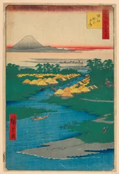 Nekozane at Horikiri Canal No. 96 from One Hundred Famous Views of Edo