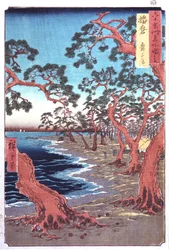 Trees Beside a Lake