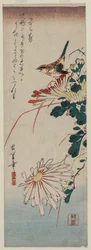 Warbler and Chrysanthemums