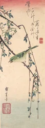 Warbler on a Plum Branch, ca. 1835