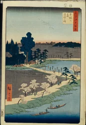 One Hundred Famous Views of Edo: Azuma no Mori Shrine and the Entwined Camphor