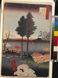 One Hundred Famous Views of Edo: Suwa Bluff in Nippori
