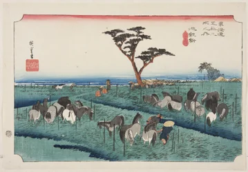 Chiryū: Early Summer Horse Fair