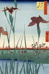 Horikiri Iris Garden by Utagawa Hiroshige
