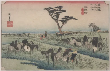 Horse Fair in Early Summer