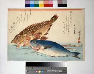 Scorpion Fish and Isaki Fish with Root Ginger