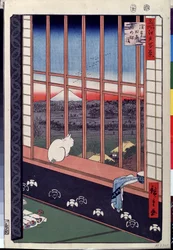 A Cat Sitting on the Window Seat