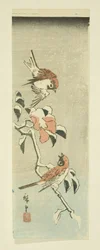 Sparrows and Camellia in Snow