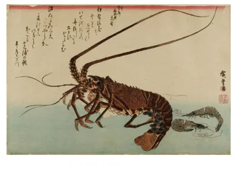 Spring Lobster and Small Shrimp