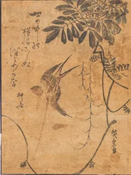 Study of bird in flight and plant