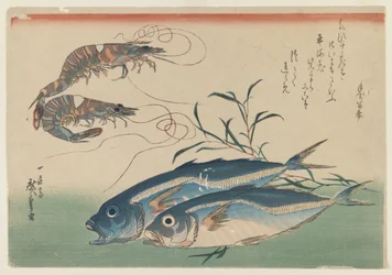 Two Shrimp with Two Horse Mackerel