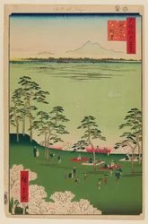 View to the North From Asukayama
