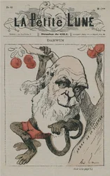 Darwin as Monkey on La Petite Lune