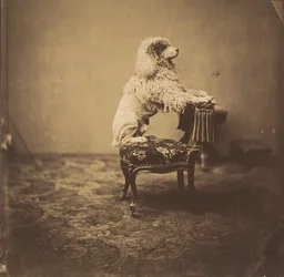 Empress Eugénie